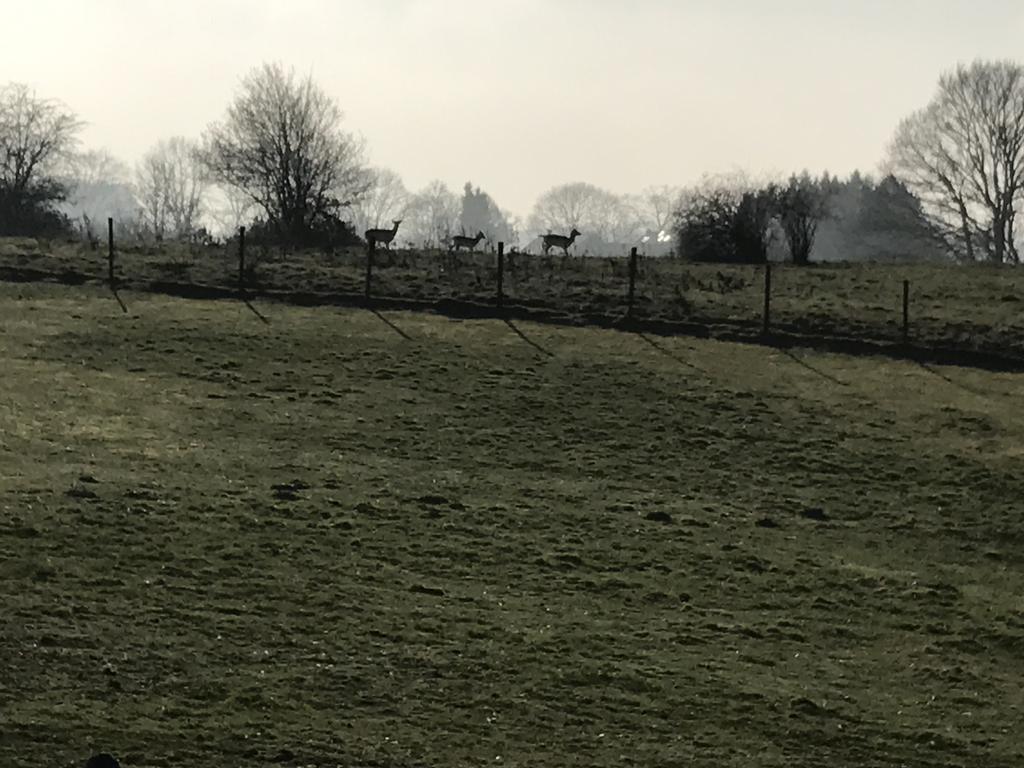 Gasterij Berg En Dal Hotell Slenaken Exteriör bild